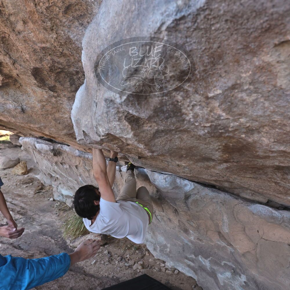 

Filename: SRM_20250317_1001030.jpg
Aperture: f/5.6
Shutter Speed: 1/500
Body: Canon EOS R6
Lens: Canon EF 16-35mm f/2.8 L