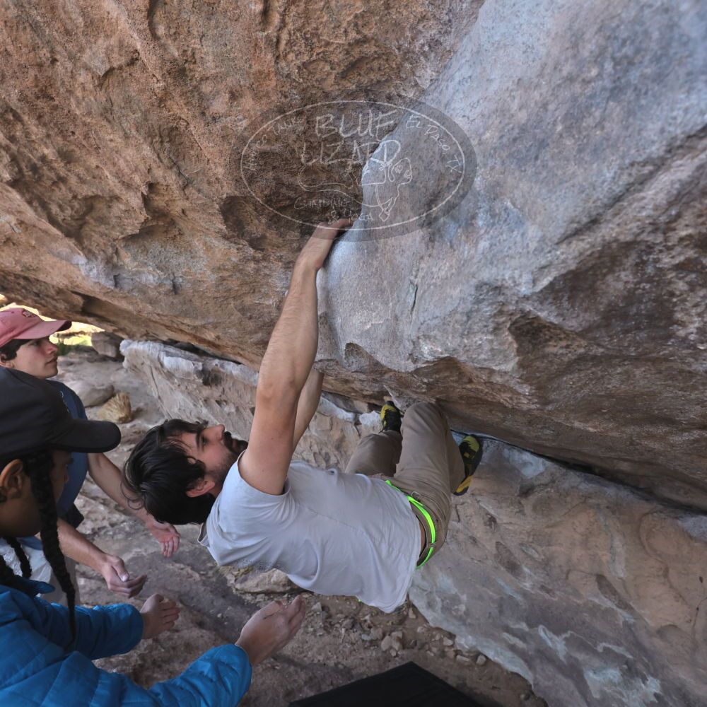 

Filename: SRM_20250317_1001110.jpg
Aperture: f/5.6
Shutter Speed: 1/500
Body: Canon EOS R6
Lens: Canon EF 16-35mm f/2.8 L