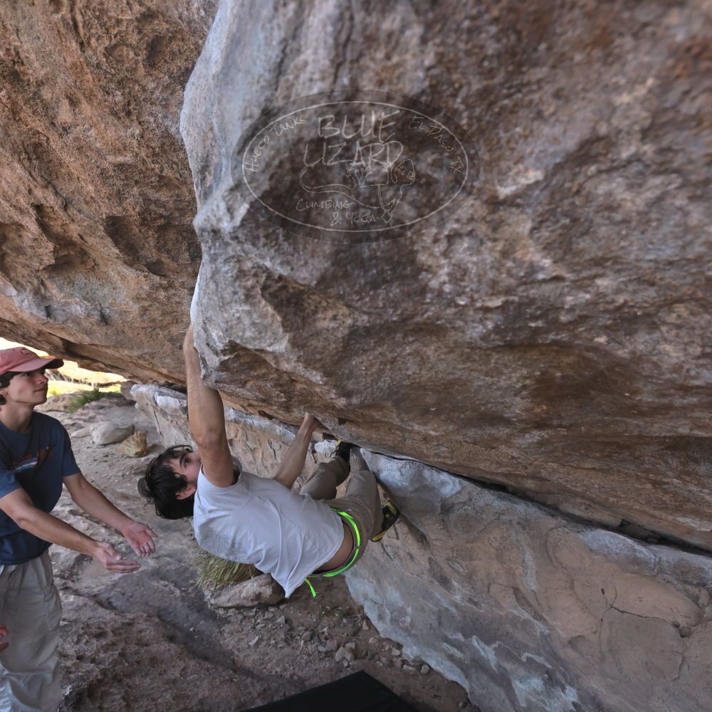 

Filename: SRM_20250317_1003190.jpg
Aperture: f/5.6
Shutter Speed: 1/500
Body: Canon EOS R6
Lens: Canon EF 16-35mm f/2.8 L