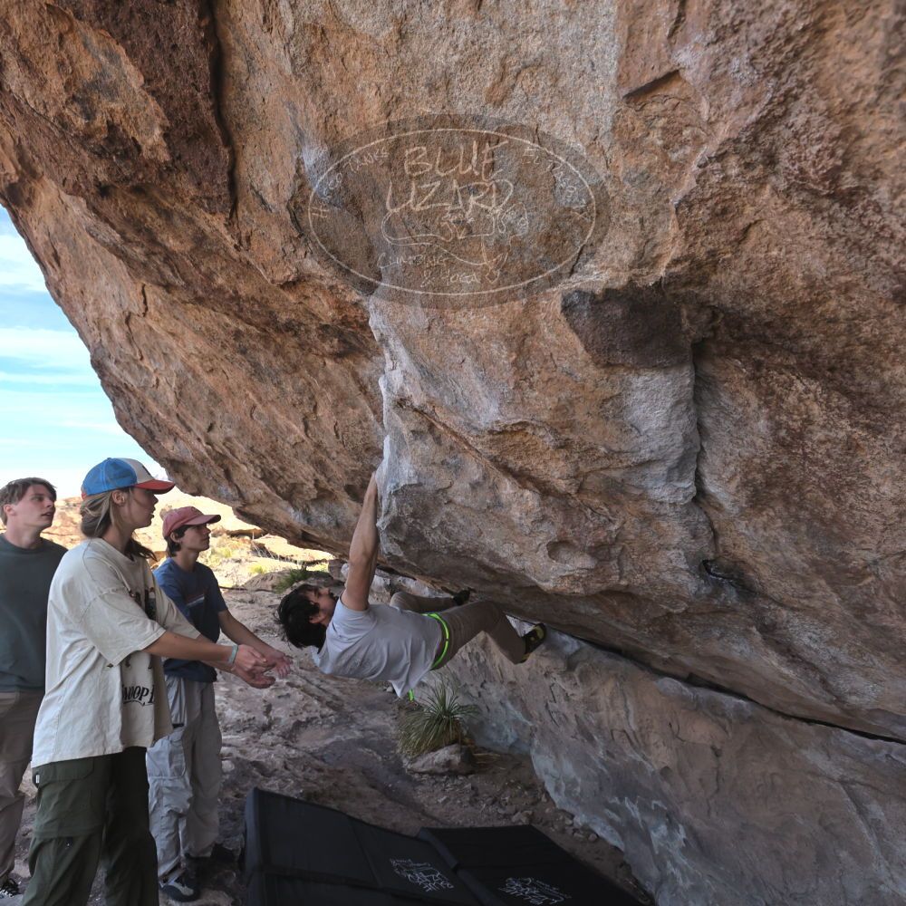 

Filename: SRM_20250317_1003310.jpg
Aperture: f/5.6
Shutter Speed: 1/500
Body: Canon EOS R6
Lens: Canon EF 16-35mm f/2.8 L