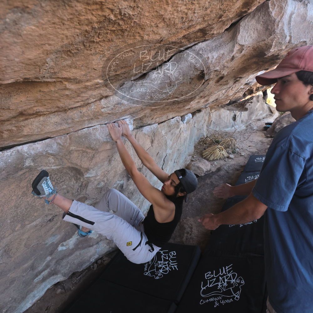 

Filename: SRM_20250317_1005390.jpg
Aperture: f/5.6
Shutter Speed: 1/500
Body: Canon EOS R6
Lens: Canon EF 16-35mm f/2.8 L