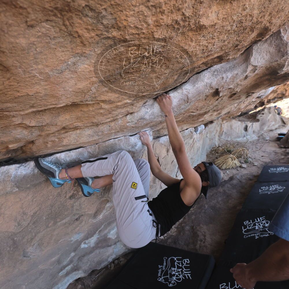 

Filename: SRM_20250317_1006090.jpg
Aperture: f/5.6
Shutter Speed: 1/500
Body: Canon EOS R6
Lens: Canon EF 16-35mm f/2.8 L