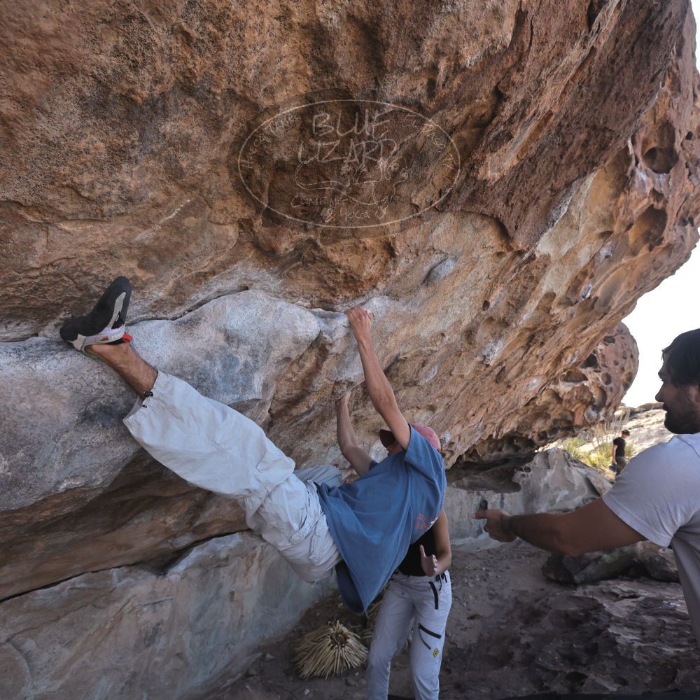 

Filename: SRM_20250317_1007350.jpg
Aperture: f/5.6
Shutter Speed: 1/500
Body: Canon EOS R6
Lens: Canon EF 16-35mm f/2.8 L