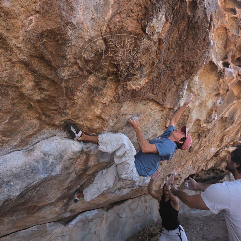 

Filename: SRM_20250317_1007420.jpg
Aperture: f/5.6
Shutter Speed: 1/500
Body: Canon EOS R6
Lens: Canon EF 16-35mm f/2.8 L