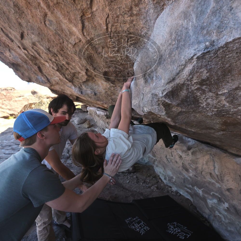 

Filename: SRM_20250317_1019300.jpg
Aperture: f/5.6
Shutter Speed: 1/500
Body: Canon EOS R6
Lens: Canon EF 16-35mm f/2.8 L