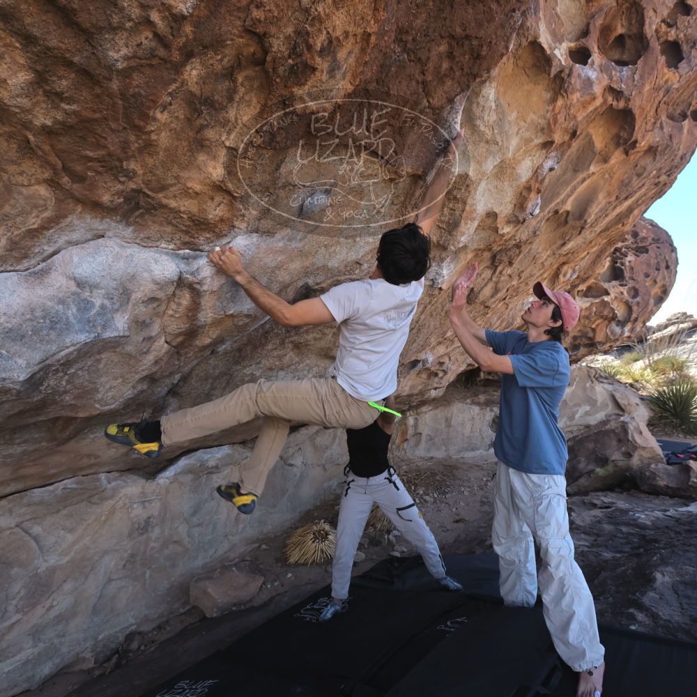 

Filename: SRM_20250317_1030270.jpg
Aperture: f/5.6
Shutter Speed: 1/500
Body: Canon EOS R6
Lens: Canon EF 16-35mm f/2.8 L