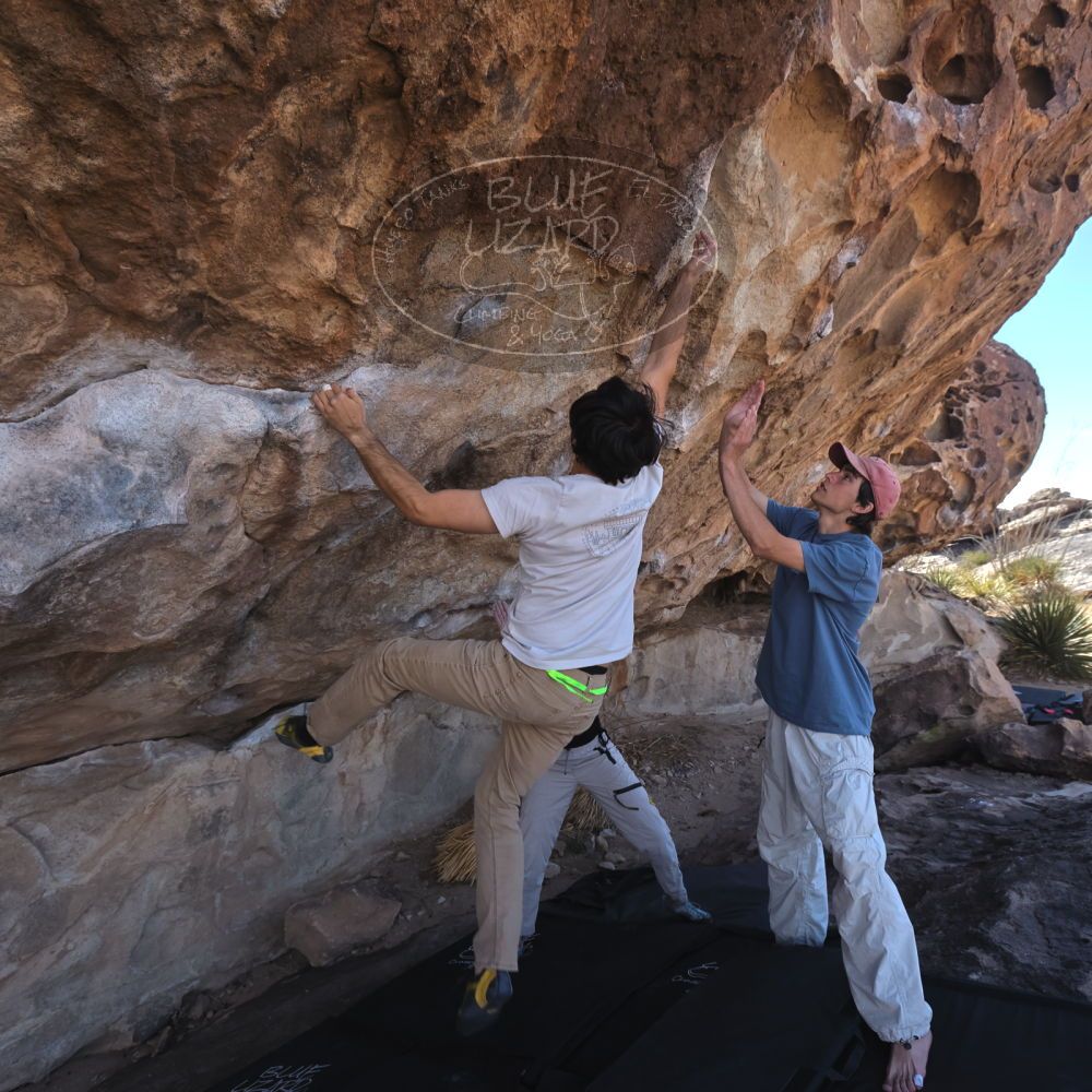 

Filename: SRM_20250317_1030271.jpg
Aperture: f/5.6
Shutter Speed: 1/500
Body: Canon EOS R6
Lens: Canon EF 16-35mm f/2.8 L