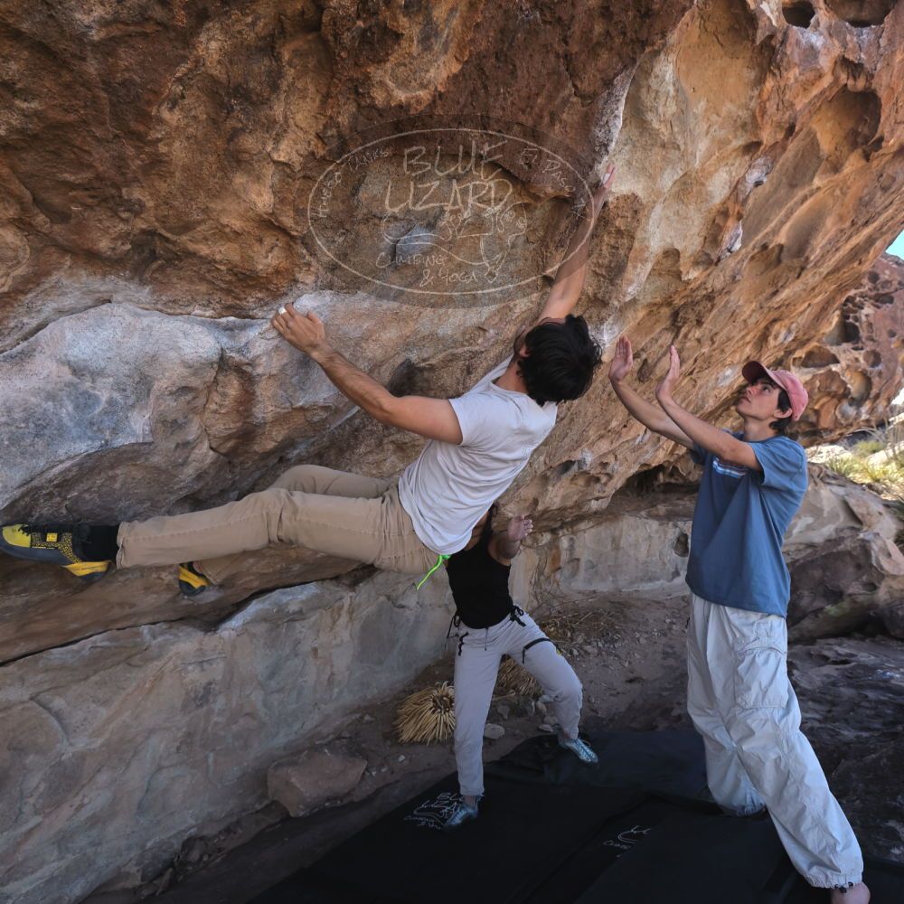 

Filename: SRM_20250317_1030400.jpg
Aperture: f/5.6
Shutter Speed: 1/500
Body: Canon EOS R6
Lens: Canon EF 16-35mm f/2.8 L