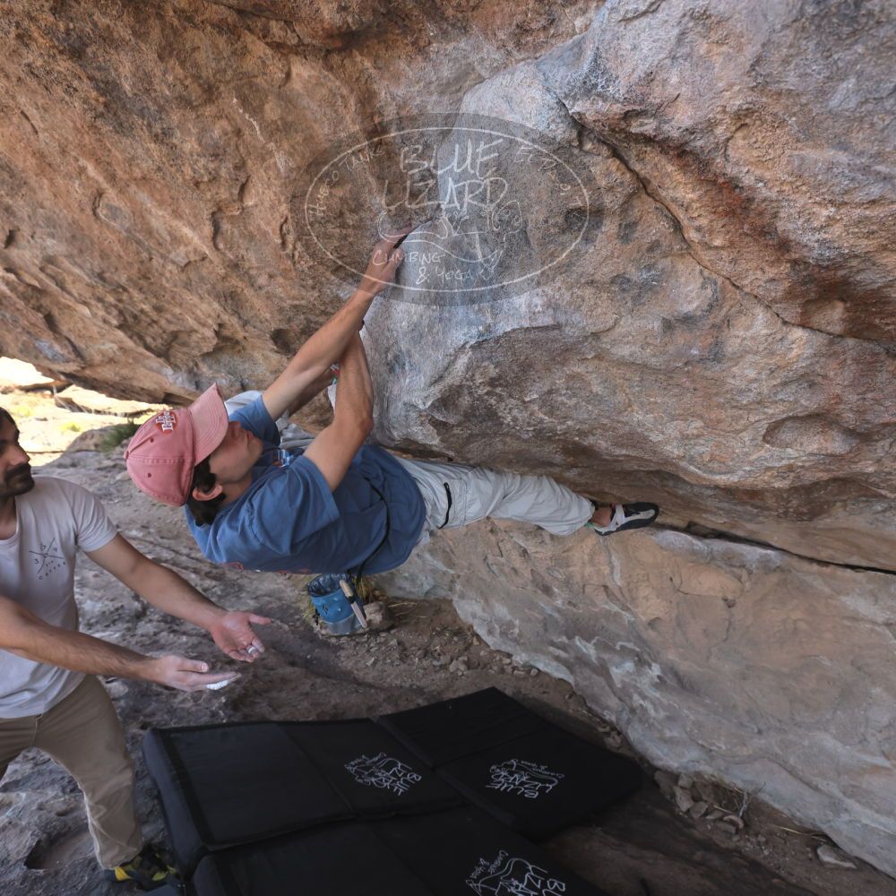 

Filename: SRM_20250317_1041510.jpg
Aperture: f/5.6
Shutter Speed: 1/500
Body: Canon EOS R6
Lens: Canon EF 16-35mm f/2.8 L