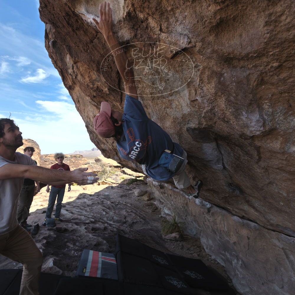 

Filename: SRM_20250317_1042090.jpg
Aperture: f/5.6
Shutter Speed: 1/500
Body: Canon EOS R6
Lens: Canon EF 16-35mm f/2.8 L