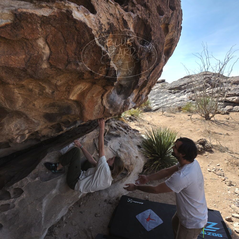

Filename: SRM_20250317_1052340.jpg
Aperture: f/5.6
Shutter Speed: 1/500
Body: Canon EOS R6
Lens: Canon EF 16-35mm f/2.8 L