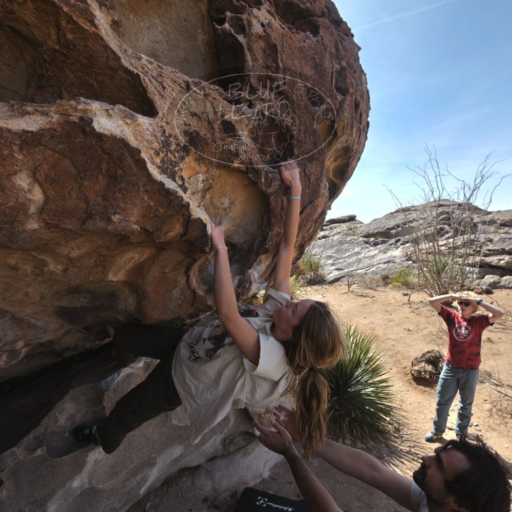 

Filename: SRM_20250317_1053050.jpg
Aperture: f/5.6
Shutter Speed: 1/500
Body: Canon EOS R6
Lens: Canon EF 16-35mm f/2.8 L