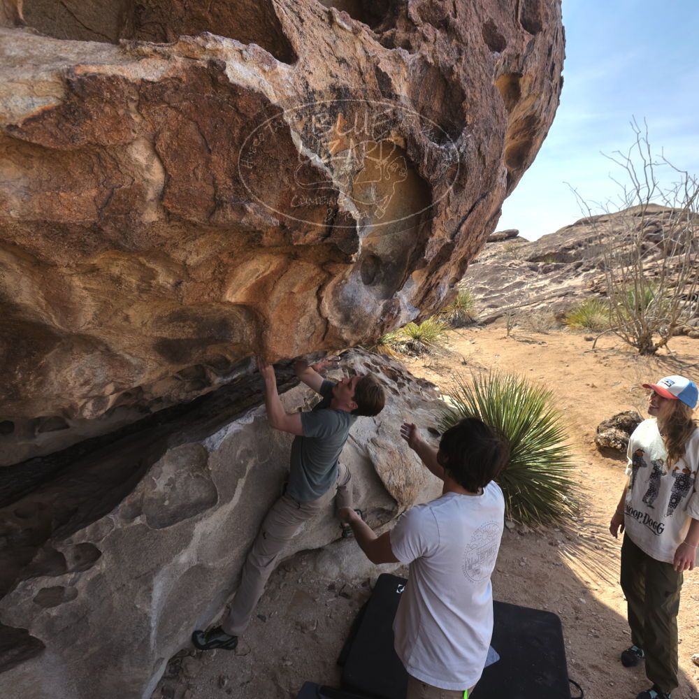 

Filename: SRM_20250317_1055260.jpg
Aperture: f/5.6
Shutter Speed: 1/500
Body: Canon EOS R6
Lens: Canon EF 16-35mm f/2.8 L