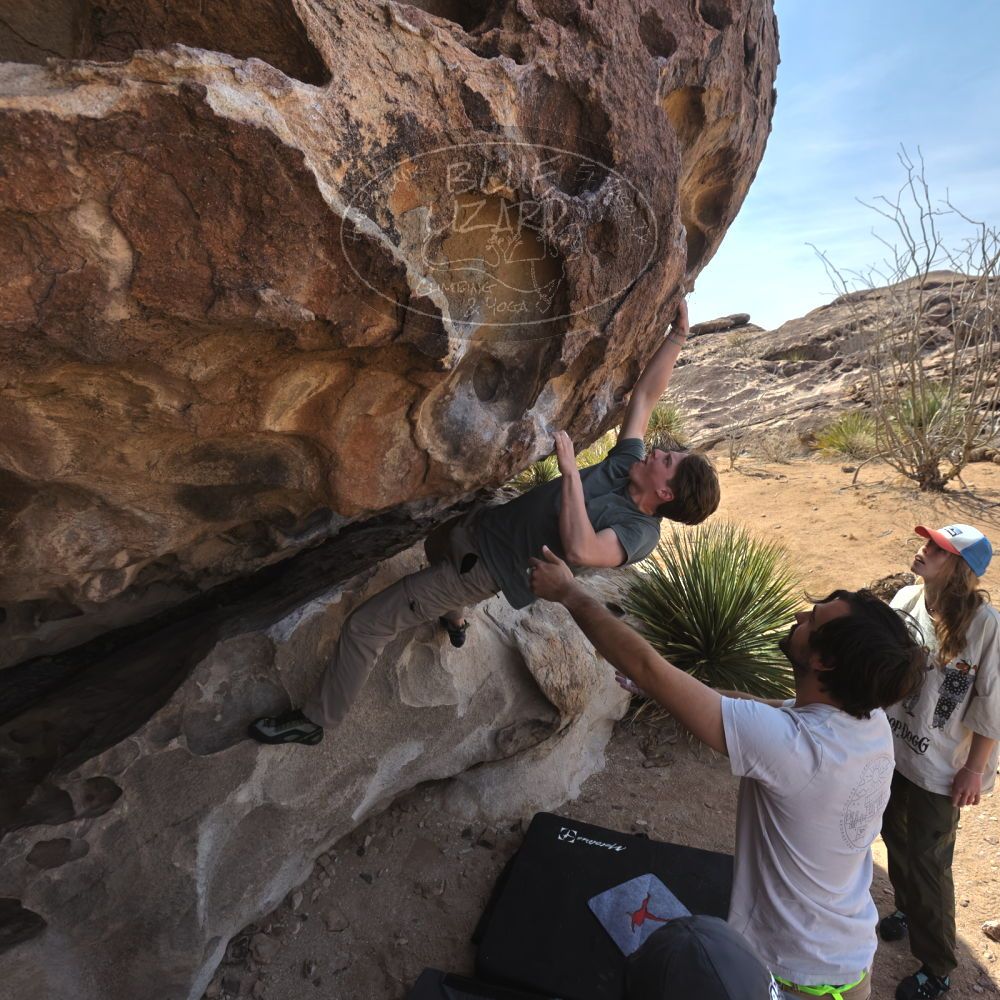 

Filename: SRM_20250317_1055380.jpg
Aperture: f/5.6
Shutter Speed: 1/500
Body: Canon EOS R6
Lens: Canon EF 16-35mm f/2.8 L