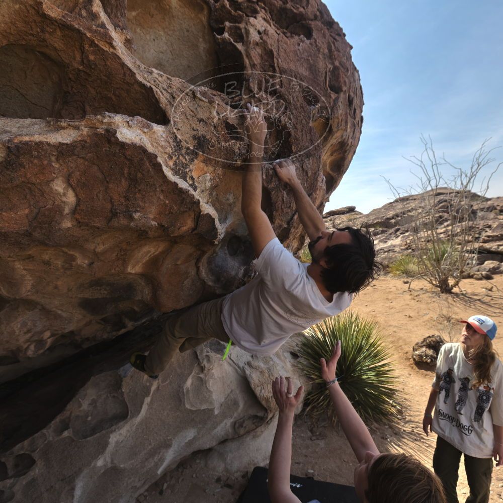 

Filename: SRM_20250317_1056220.jpg
Aperture: f/5.6
Shutter Speed: 1/500
Body: Canon EOS R6
Lens: Canon EF 16-35mm f/2.8 L