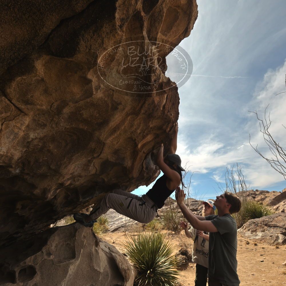 

Filename: SRM_20250317_1211060.jpg
Aperture: f/8.0
Shutter Speed: 1/500
Body: Canon EOS R6
Lens: Canon EF 16-35mm f/2.8 L