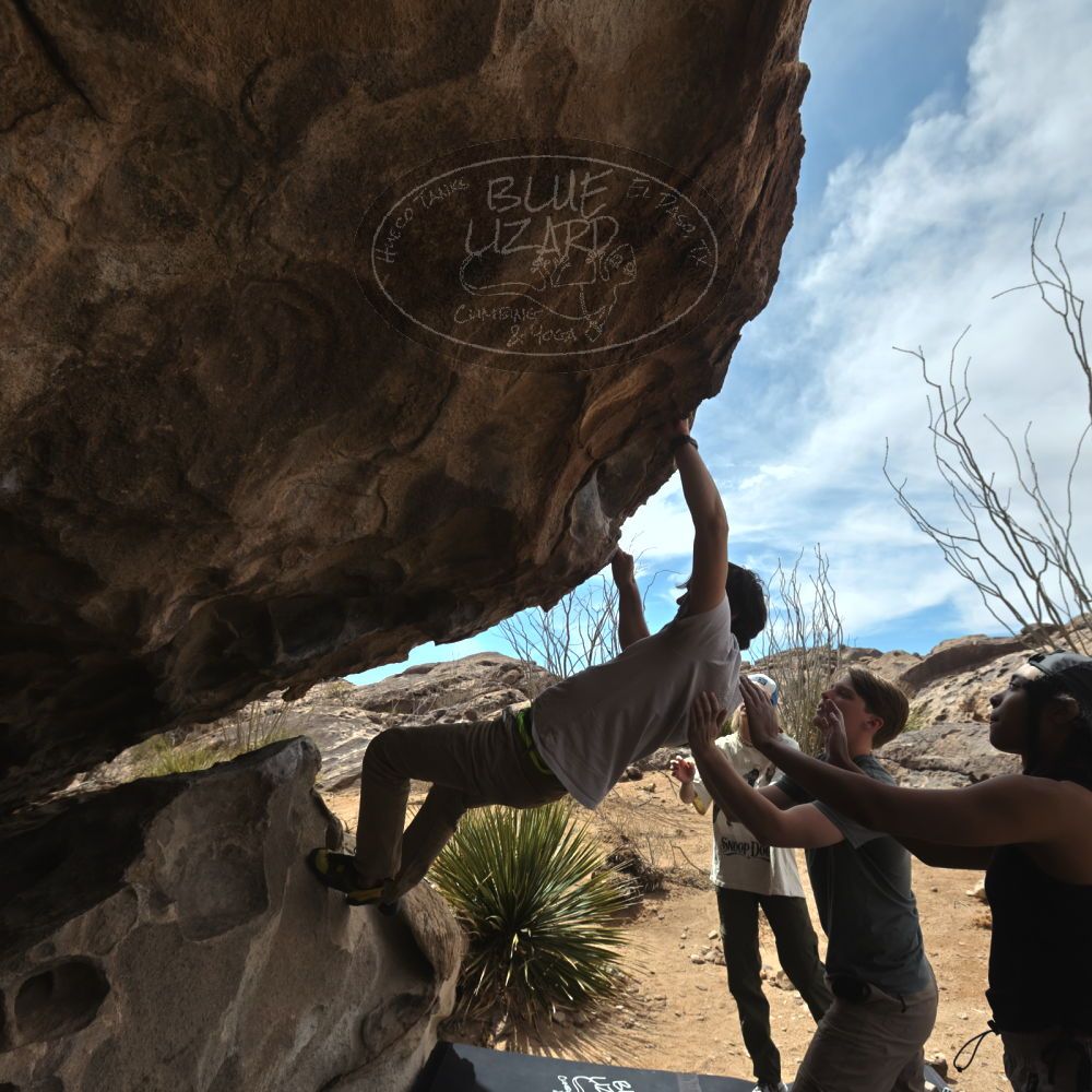 

Filename: SRM_20250317_1212160.jpg
Aperture: f/8.0
Shutter Speed: 1/500
Body: Canon EOS R6
Lens: Canon EF 16-35mm f/2.8 L