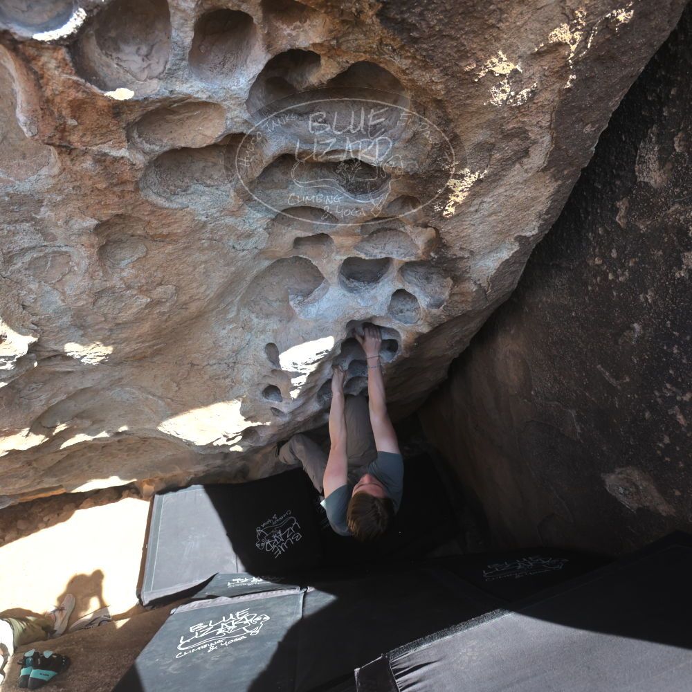 

Filename: SRM_20250317_1422370.jpg
Aperture: f/5.6
Shutter Speed: 1/500
Body: Canon EOS R6
Lens: Canon EF 16-35mm f/2.8 L