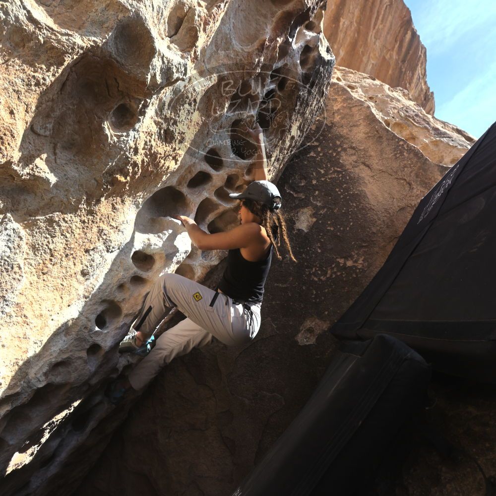 

Filename: SRM_20250317_1455320.jpg
Aperture: f/8.0
Shutter Speed: 1/500
Body: Canon EOS R6
Lens: Canon EF 16-35mm f/2.8 L