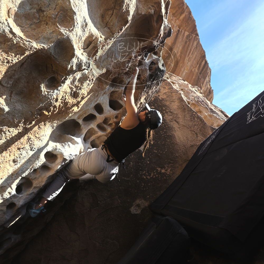 

Filename: SRM_20250317_1455421.jpg
Aperture: f/8.0
Shutter Speed: 1/500
Body: Canon EOS R6
Lens: Canon EF 16-35mm f/2.8 L