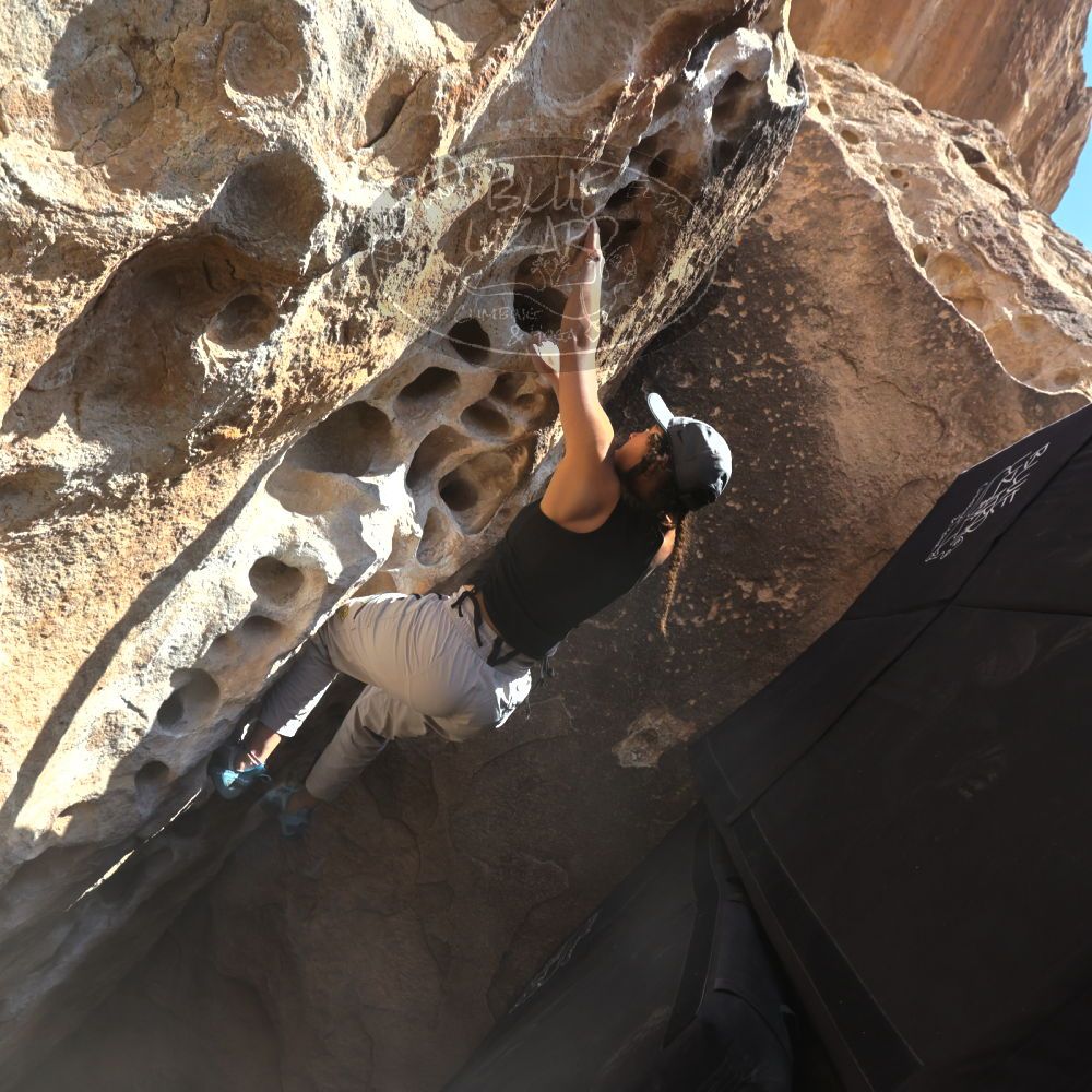 

Filename: SRM_20250317_1506450.jpg
Aperture: f/8.0
Shutter Speed: 1/500
Body: Canon EOS R6
Lens: Canon EF 16-35mm f/2.8 L