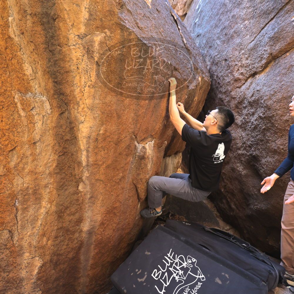 

Filename: SRM_20251109_1055090.jpg
Aperture: f/4.0
Shutter Speed: 1/400
Body: Canon EOS R6
Lens: Canon EF 16-35mm f/2.8 L