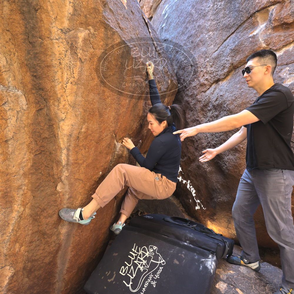 

Filename: SRM_20251109_1100150.jpg
Aperture: f/4.0
Shutter Speed: 1/400
Body: Canon EOS R6
Lens: Canon EF 16-35mm f/2.8 L