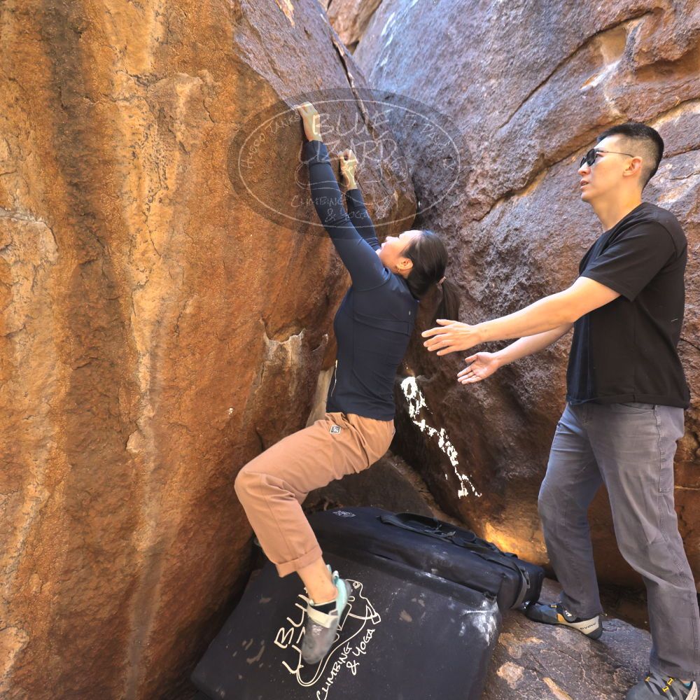 

Filename: SRM_20251109_1100170.jpg
Aperture: f/4.0
Shutter Speed: 1/400
Body: Canon EOS R6
Lens: Canon EF 16-35mm f/2.8 L