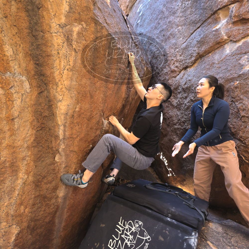 

Filename: SRM_20251109_1101060.jpg
Aperture: f/4.0
Shutter Speed: 1/400
Body: Canon EOS R6
Lens: Canon EF 16-35mm f/2.8 L