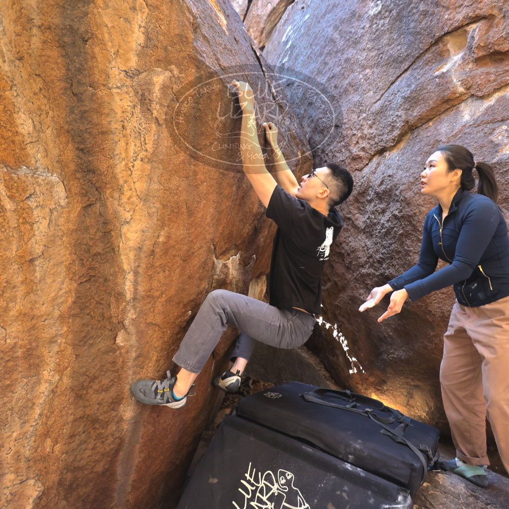 

Filename: SRM_20251109_1101070.jpg
Aperture: f/4.0
Shutter Speed: 1/400
Body: Canon EOS R6
Lens: Canon EF 16-35mm f/2.8 L