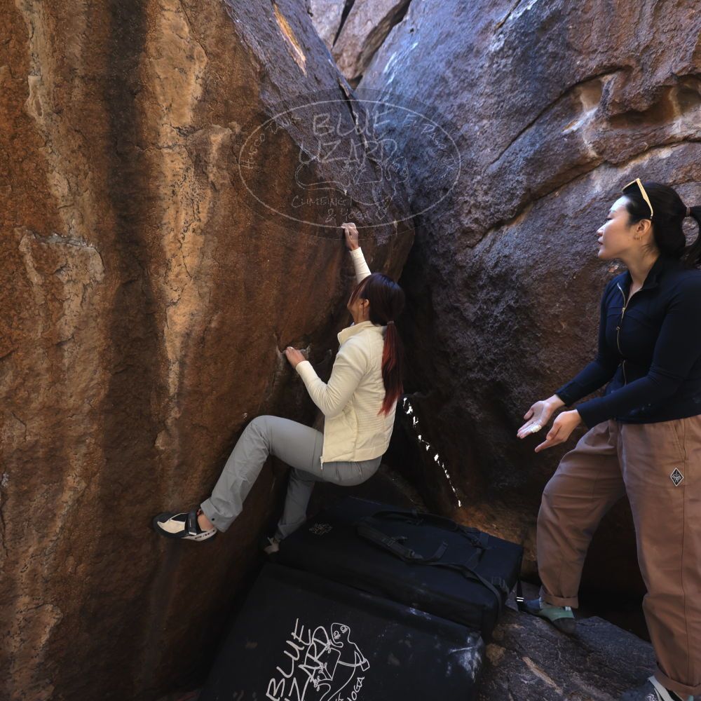 

Filename: SRM_20251109_1103370.jpg
Aperture: f/4.0
Shutter Speed: 1/400
Body: Canon EOS R6
Lens: Canon EF 16-35mm f/2.8 L