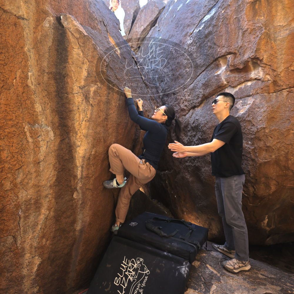 

Filename: SRM_20251109_1105250.jpg
Aperture: f/4.0
Shutter Speed: 1/400
Body: Canon EOS R6
Lens: Canon EF 16-35mm f/2.8 L