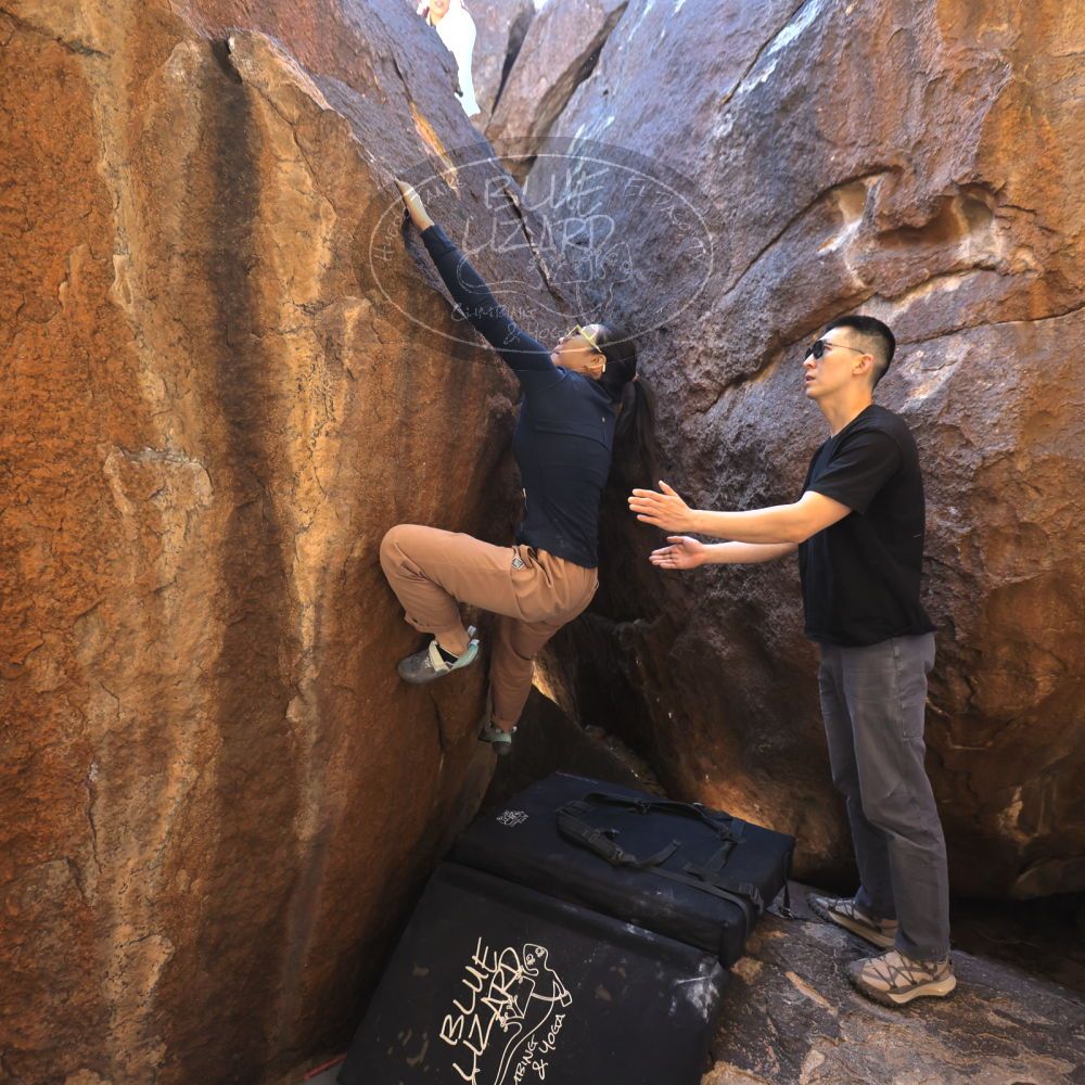 

Filename: SRM_20251109_1105270.jpg
Aperture: f/4.0
Shutter Speed: 1/400
Body: Canon EOS R6
Lens: Canon EF 16-35mm f/2.8 L