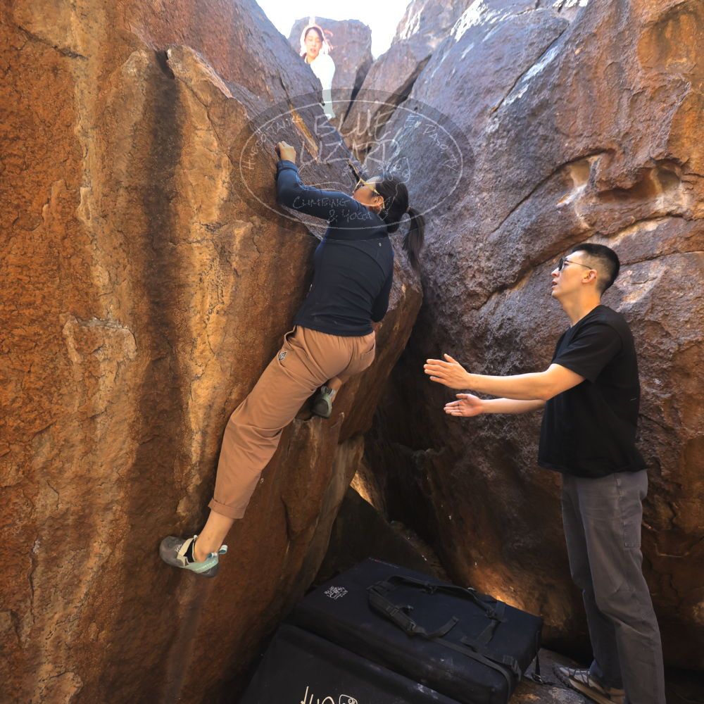 

Filename: SRM_20251109_1105300.jpg
Aperture: f/4.0
Shutter Speed: 1/400
Body: Canon EOS R6
Lens: Canon EF 16-35mm f/2.8 L