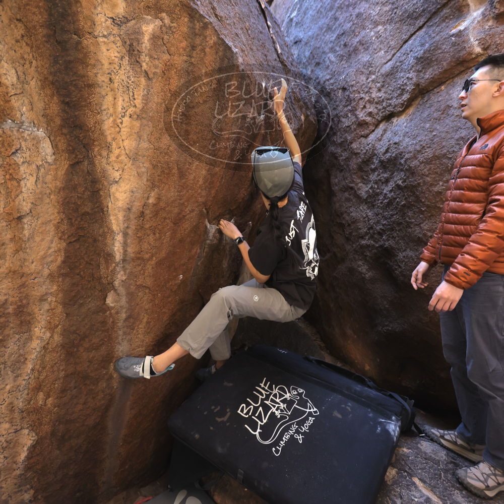 

Filename: SRM_20251109_1111531.jpg
Aperture: f/4.0
Shutter Speed: 1/400
Body: Canon EOS R6
Lens: Canon EF 16-35mm f/2.8 L