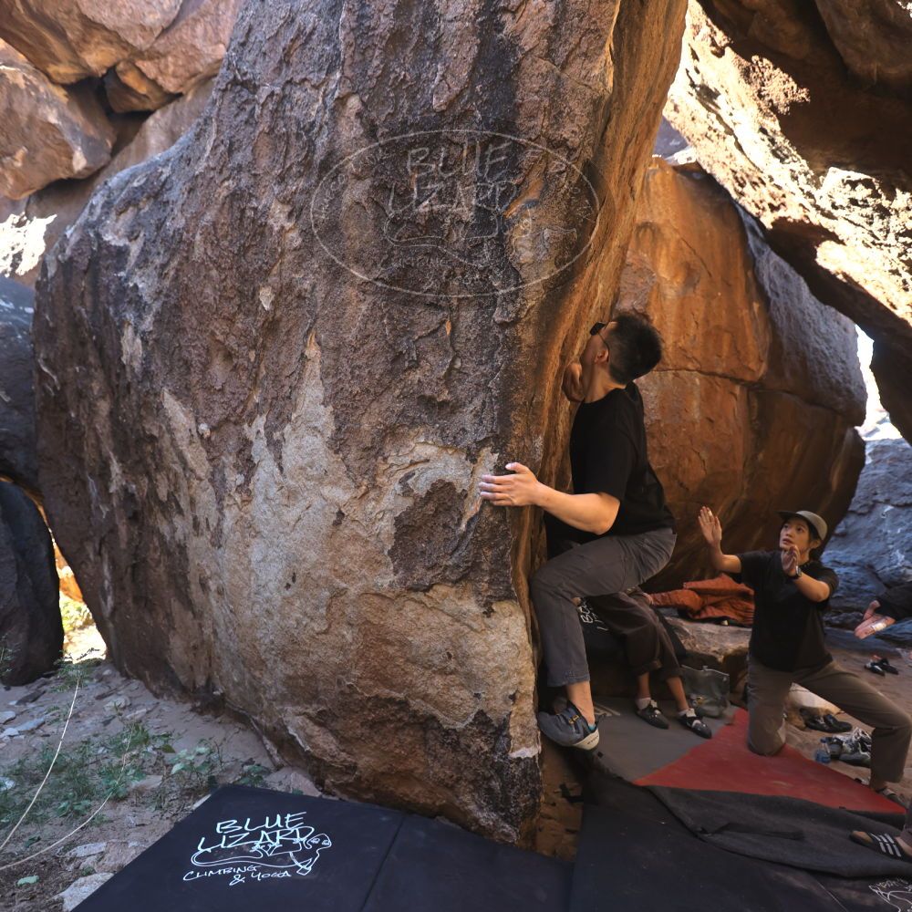 

Filename: SRM_20251109_1127100.jpg
Aperture: f/4.0
Shutter Speed: 1/400
Body: Canon EOS R6
Lens: Canon EF 16-35mm f/2.8 L