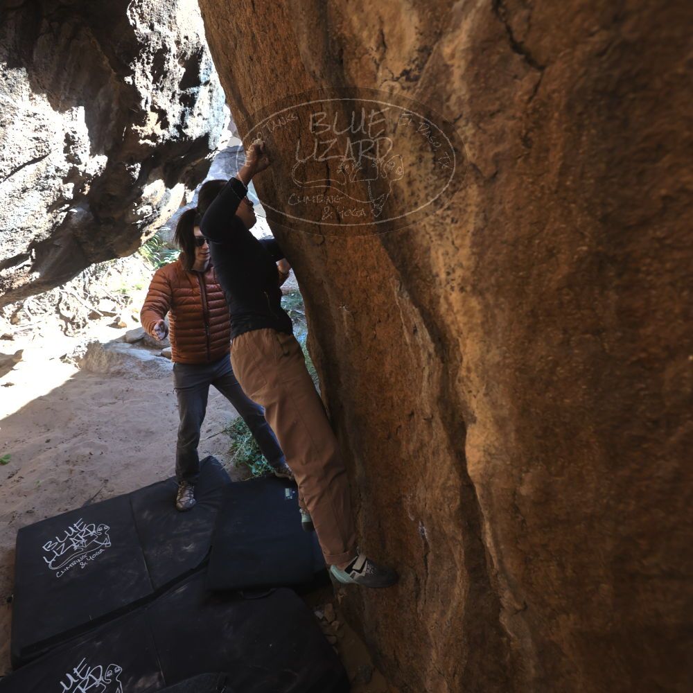 

Filename: SRM_20251109_1134580.jpg
Aperture: f/4.0
Shutter Speed: 1/400
Body: Canon EOS R6
Lens: Canon EF 16-35mm f/2.8 L