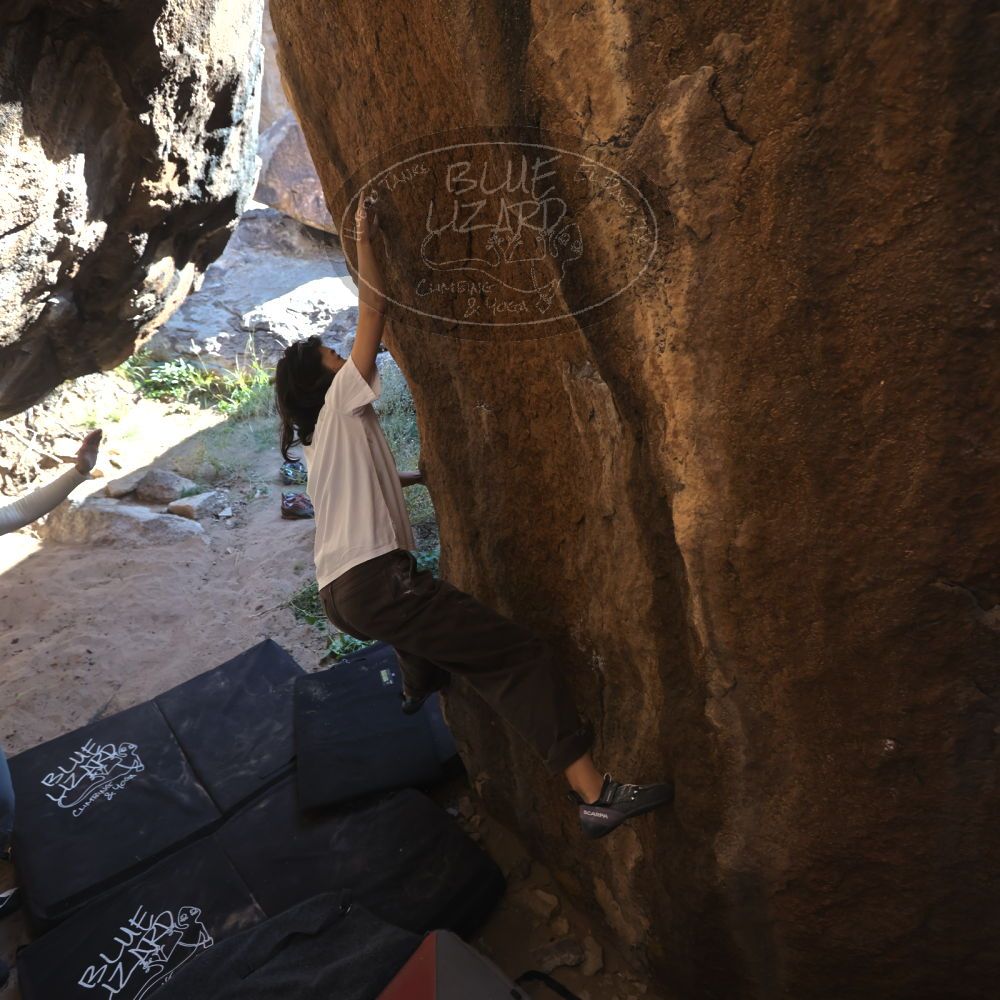 

Filename: SRM_20251109_1137111.jpg
Aperture: f/4.0
Shutter Speed: 1/400
Body: Canon EOS R6
Lens: Canon EF 16-35mm f/2.8 L