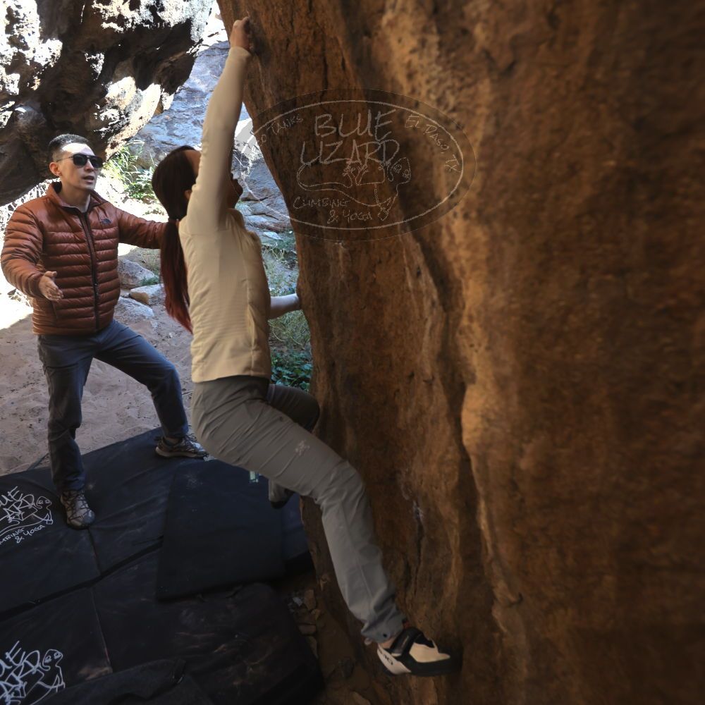 

Filename: SRM_20251109_1139341.jpg
Aperture: f/4.0
Shutter Speed: 1/400
Body: Canon EOS R6
Lens: Canon EF 16-35mm f/2.8 L