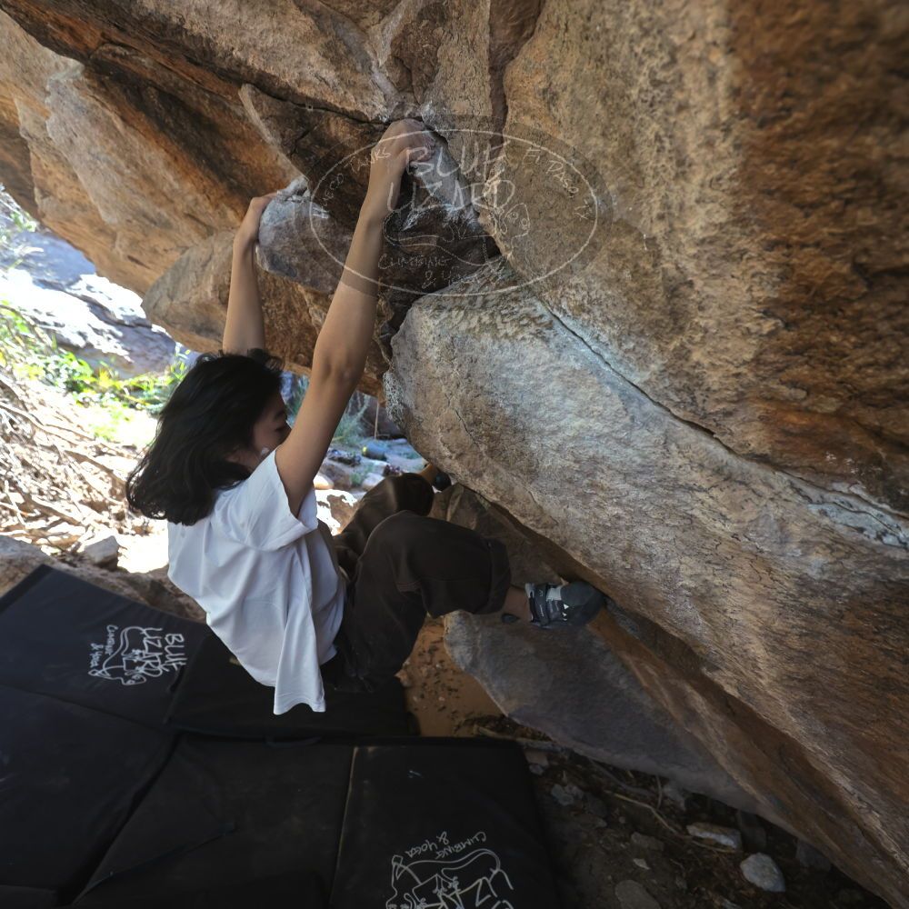 

Filename: SRM_20251109_1159440.jpg
Aperture: f/4.0
Shutter Speed: 1/400
Body: Canon EOS R6
Lens: Canon EF 16-35mm f/2.8 L