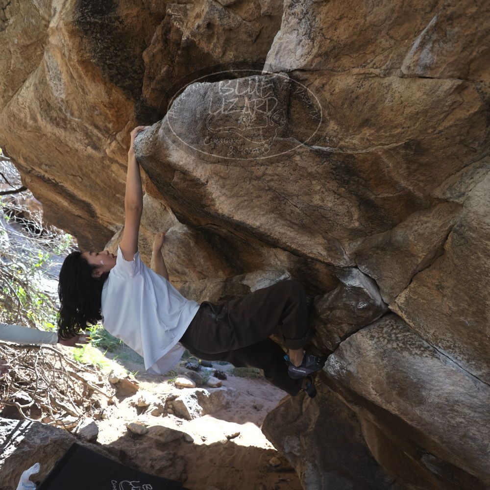 

Filename: SRM_20251109_1200010.jpg
Aperture: f/4.0
Shutter Speed: 1/400
Body: Canon EOS R6
Lens: Canon EF 16-35mm f/2.8 L