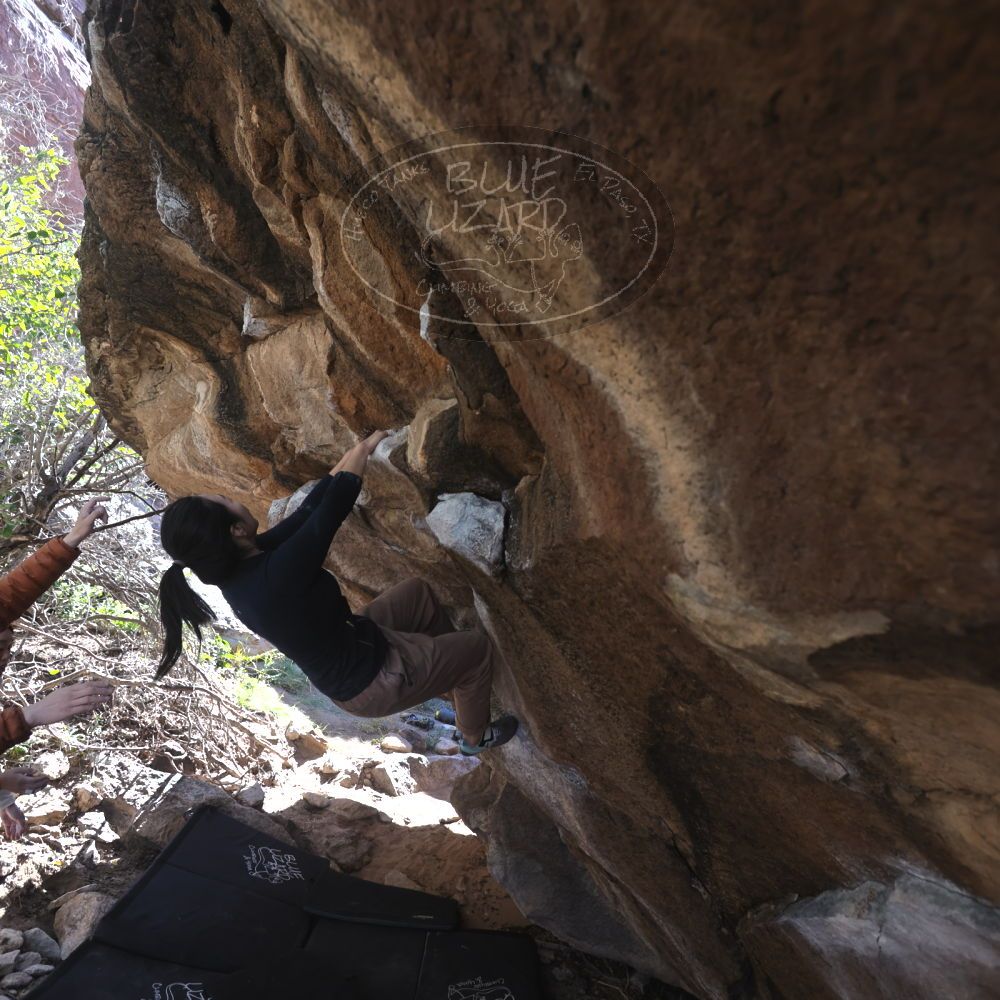 

Filename: SRM_20251109_1204010.jpg
Aperture: f/4.0
Shutter Speed: 1/400
Body: Canon EOS R6
Lens: Canon EF 16-35mm f/2.8 L