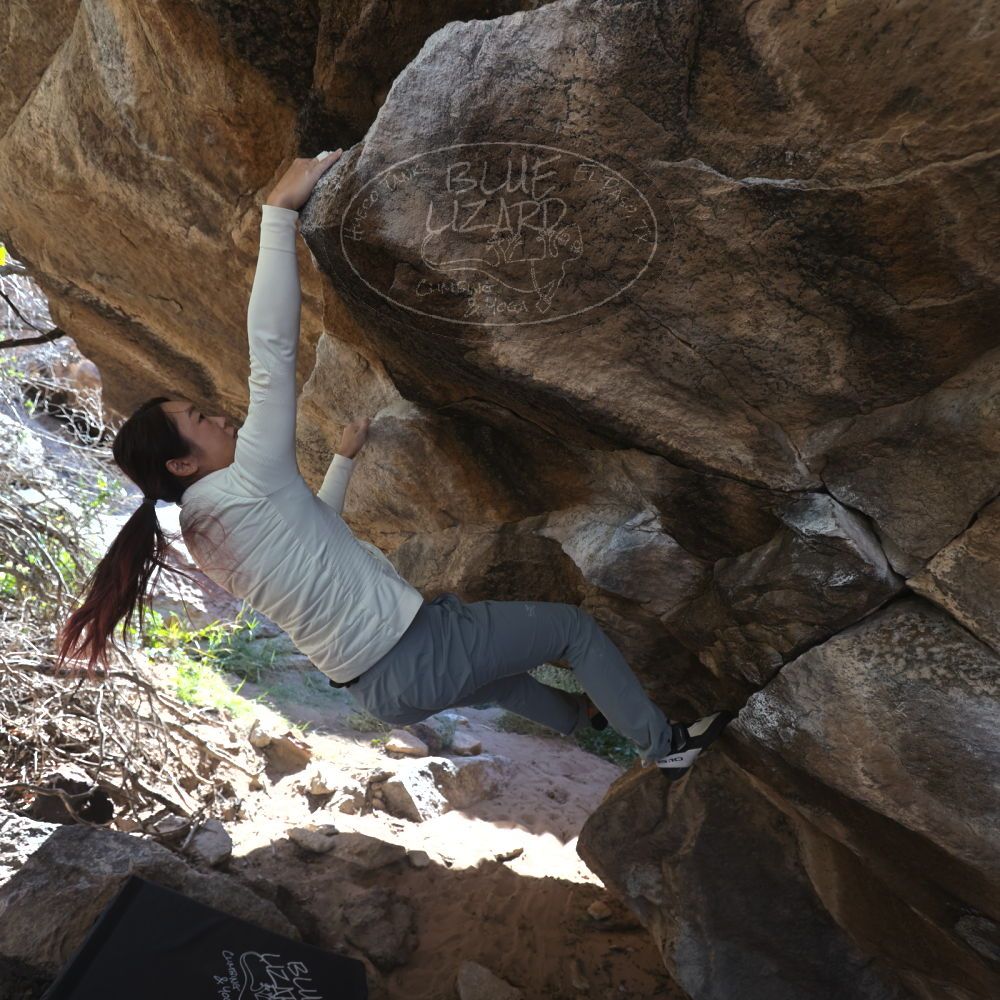 

Filename: SRM_20251109_1211510.jpg
Aperture: f/4.0
Shutter Speed: 1/400
Body: Canon EOS R6
Lens: Canon EF 16-35mm f/2.8 L