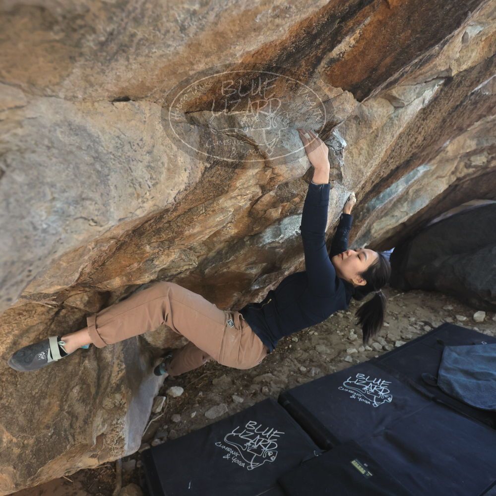 

Filename: SRM_20251109_1237250.jpg
Aperture: f/4.0
Shutter Speed: 1/1250
Body: Canon EOS R6
Lens: Canon EF 16-35mm f/2.8 L