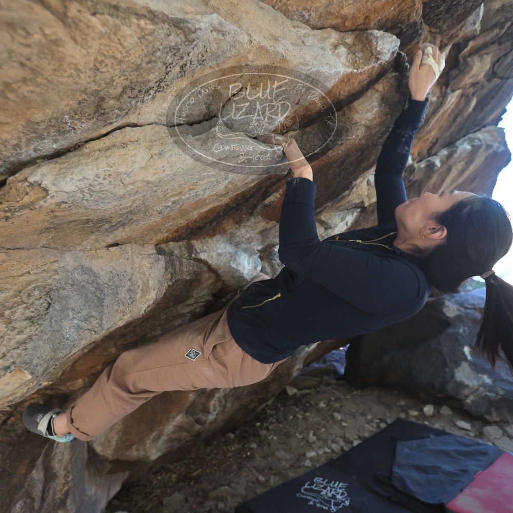 

Filename: SRM_20251109_1237320.jpg
Aperture: f/4.0
Shutter Speed: 1/1250
Body: Canon EOS R6
Lens: Canon EF 16-35mm f/2.8 L