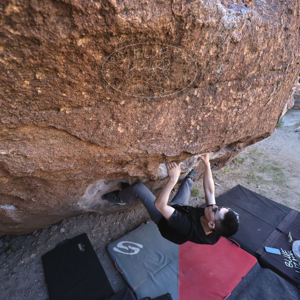 

Filename: SRM_20251109_1339081.jpg
Aperture: f/4.0
Shutter Speed: 1/1250
Body: Canon EOS R6
Lens: Canon EF 16-35mm f/2.8 L