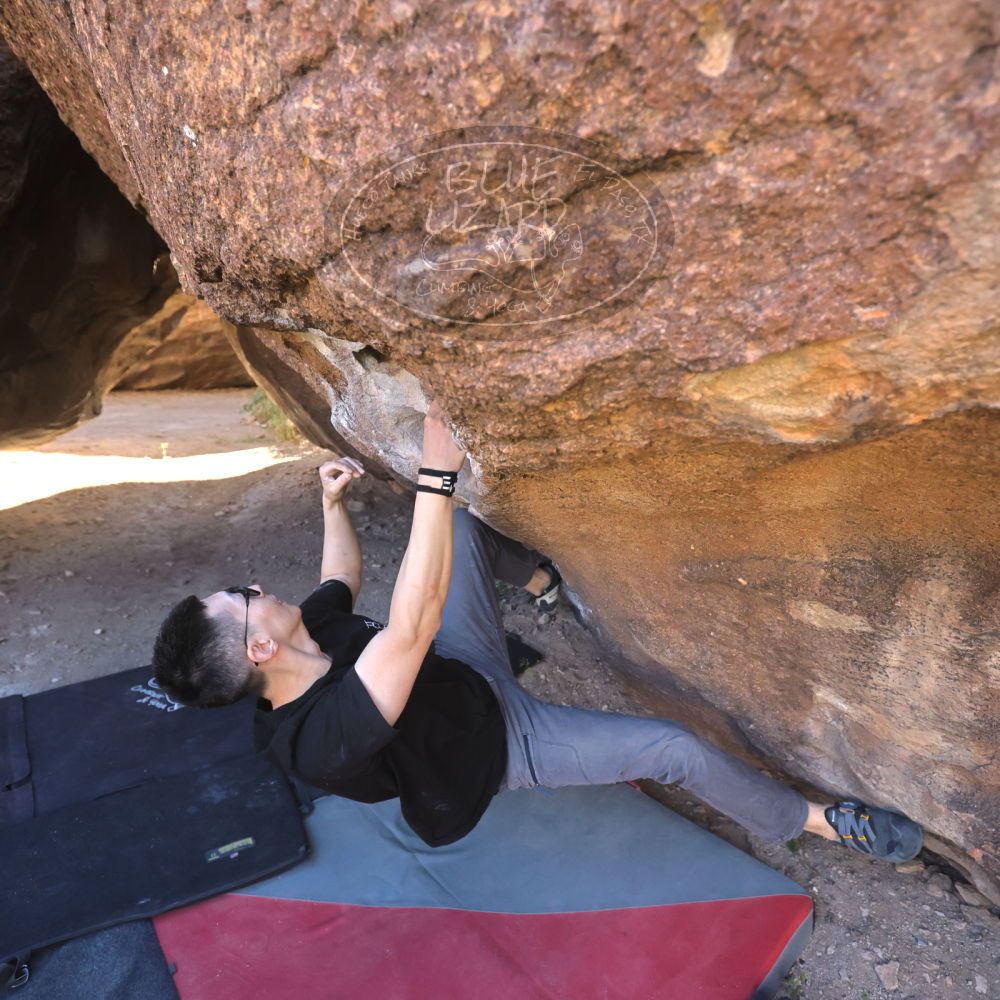 

Filename: SRM_20251109_1346520.jpg
Aperture: f/4.0
Shutter Speed: 1/1250
Body: Canon EOS R6
Lens: Canon EF 16-35mm f/2.8 L