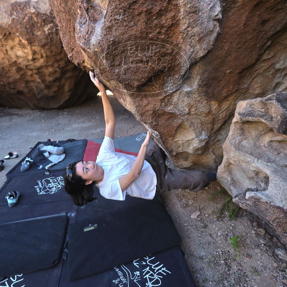 

Filename: SRM_20251109_1413240.jpg
Aperture: f/4.0
Shutter Speed: 1/1250
Body: Canon EOS R6
Lens: Canon EF 16-35mm f/2.8 L