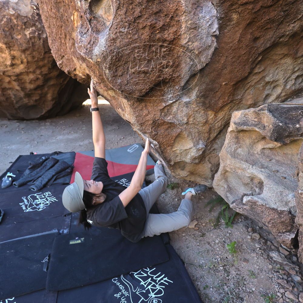 

Filename: SRM_20251109_1414320.jpg
Aperture: f/4.0
Shutter Speed: 1/1250
Body: Canon EOS R6
Lens: Canon EF 16-35mm f/2.8 L