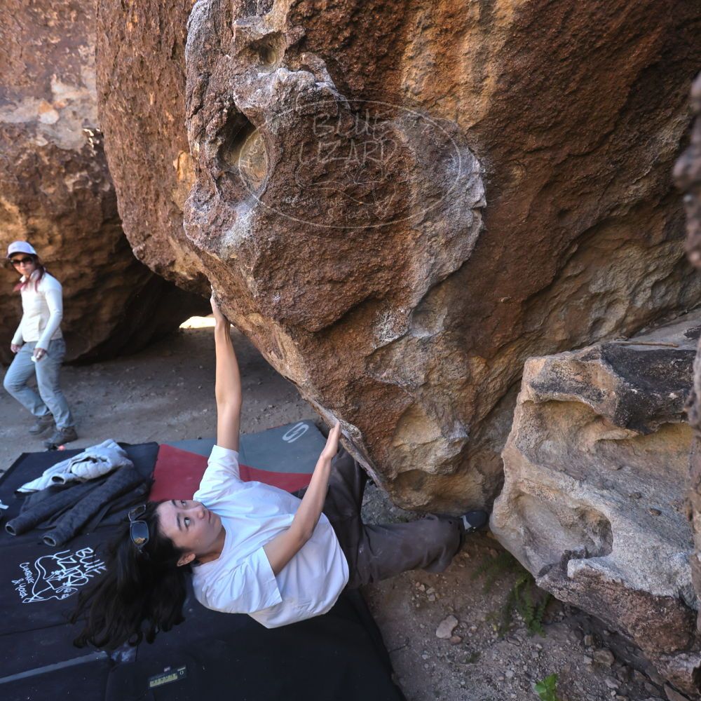 

Filename: SRM_20251109_1416080.jpg
Aperture: f/4.0
Shutter Speed: 1/1250
Body: Canon EOS R6
Lens: Canon EF 16-35mm f/2.8 L